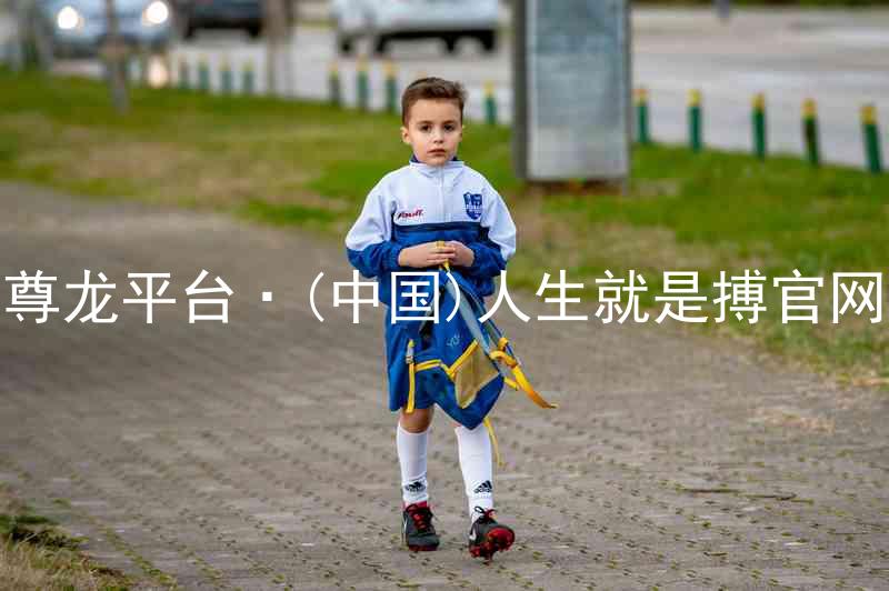 尊龙平台·(中国)人生就是搏官网