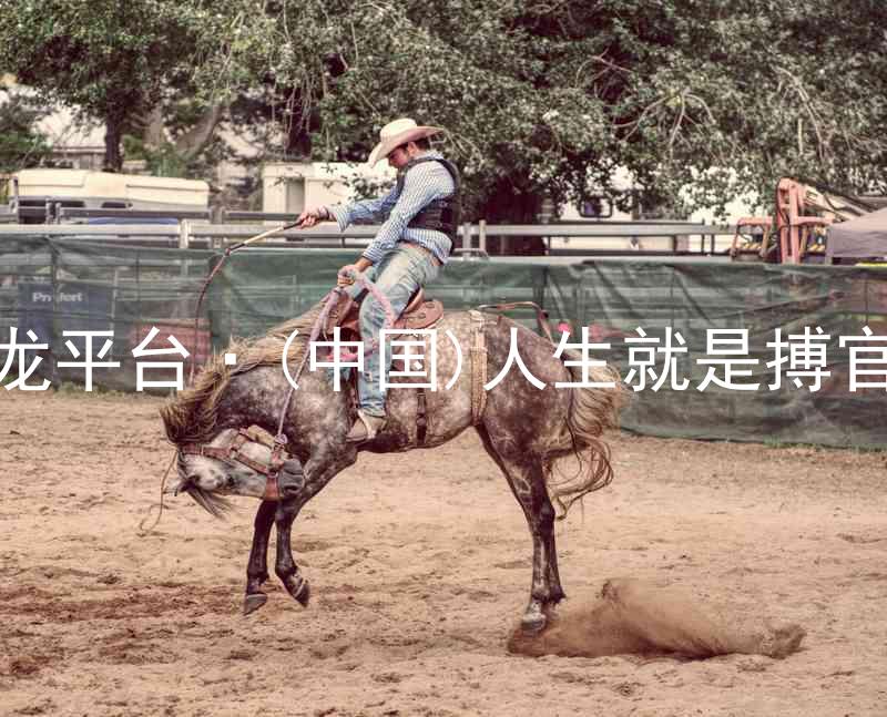 尊龙平台·(中国)人生就是搏官网