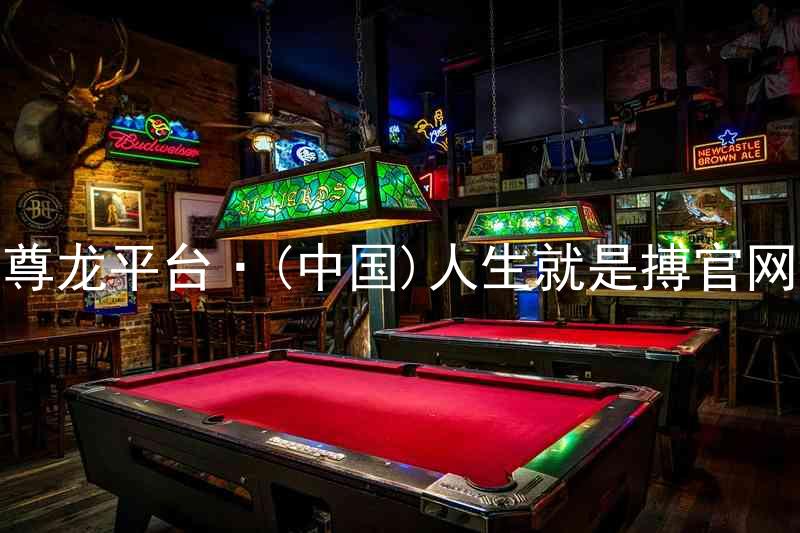 尊龙平台·(中国)人生就是搏官网
