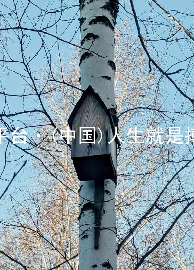 尊龙平台·(中国)人生就是搏官网