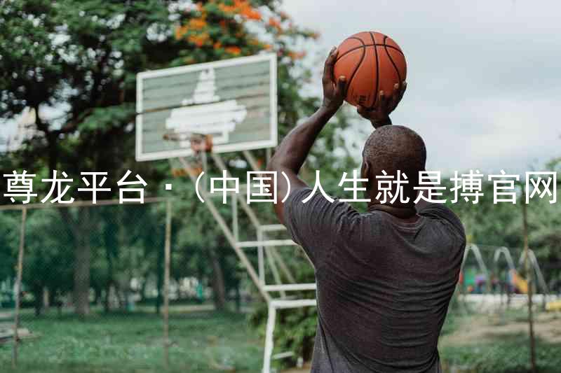 尊龙平台·(中国)人生就是搏官网