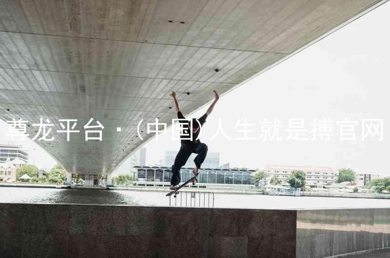 尊龙平台·(中国)人生就是搏官网
