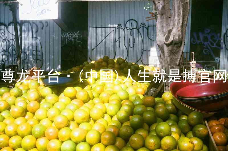 尊龙平台·(中国)人生就是搏官网