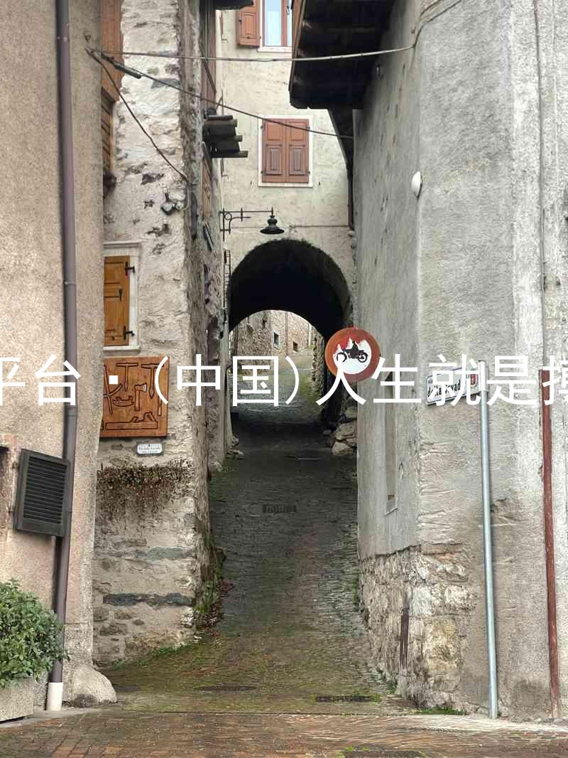 尊龙平台·(中国)人生就是搏官网